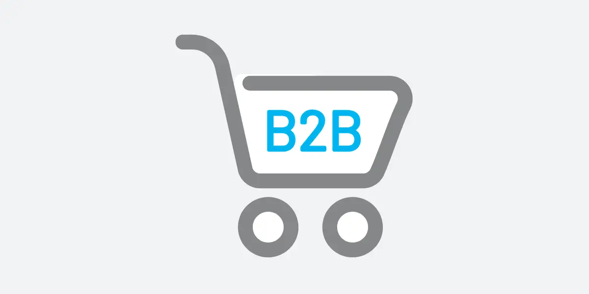 B2B eCommerce Webshops