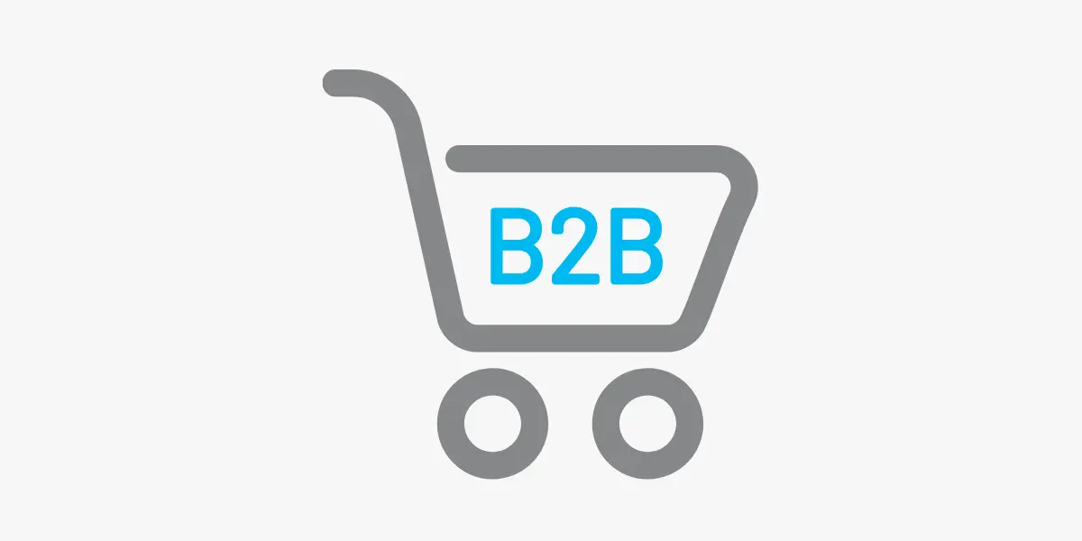 B2B eCommerce Webshops
